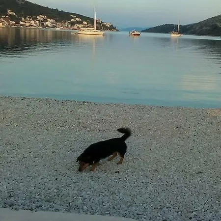 Ljilja